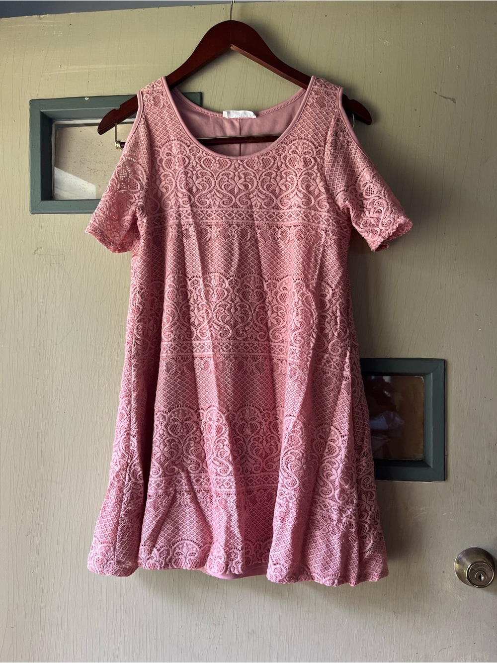 Daisy Pink Lace Fit & Flare Short Sleeve Dress
